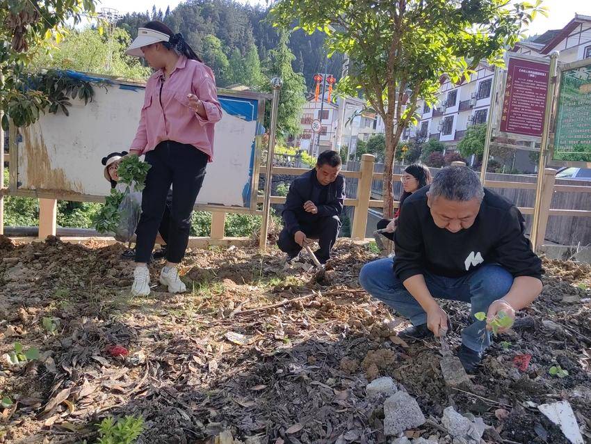 九游会国际驻村工作队挥锹夯土培植花苗